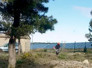 intervention espace verts